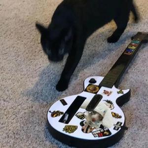 麻豆精品㊙️国产传媒夏夏
