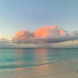 麻豆精品㊙️国产传媒夏夏
